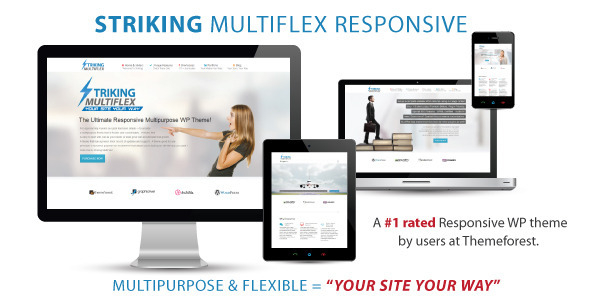 Striking - MultiFlex & Ecommerce Responsive WP Theme Logo